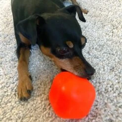 Ruff Dawg Dawg-Cube Dog Toy -Pet Dog Toys 309847 PT4. AC SS1800 V1624658265