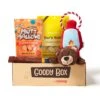 Goody Box Adventure Toys & Treats For Dogs, Medium/ Large -Pet Dog Toys 315642 MAIN. AC SS1800 V1664571764