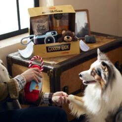 Goody Box Adventure Toys & Treats For Dogs, Medium/ Large -Pet Dog Toys 315642 PT2. AC SS1800 V1664572421