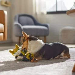 Marvel 's Loki Bungee Plush Squeaky Dog Toy 7 Marvel 's Loki Bungee Plush Squeaky Dog Toy -Pet Dog Toys 316398 PT3. AC SS1800 V1645205947