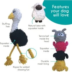 Rocket & Rex Squeakers, Rope & Plush Dog Toy Gift Set, 3 Count -Pet Dog Toys 318047 PT2. AC SS1800 V1632175571