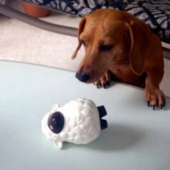 Rocket & Rex Squeakers, Rope & Plush Dog Toy Gift Set, 3 Count -Pet Dog Toys 318047 PT3. AC SS1800 V1632175874