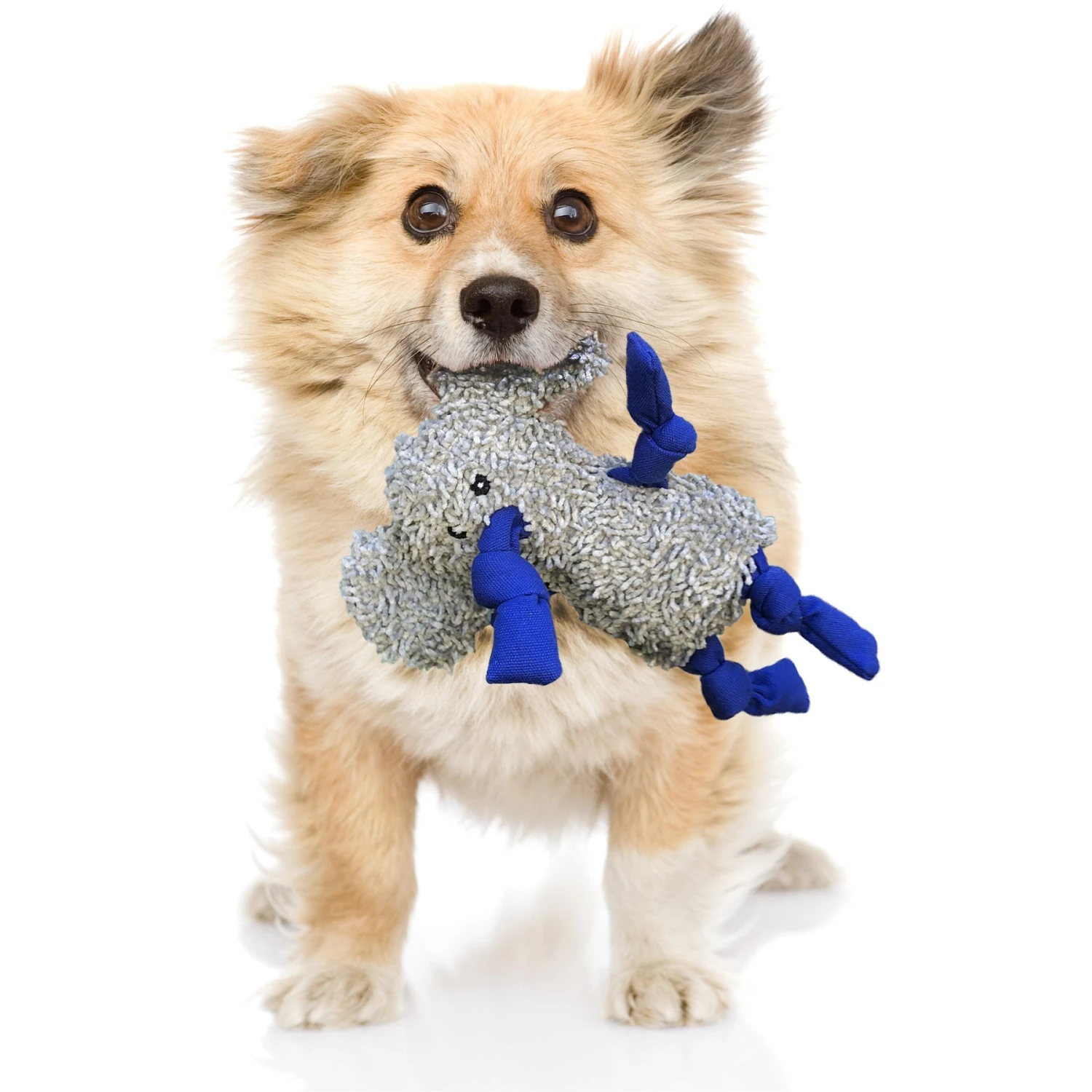 Rocket & Rex Oh My! Unicorn Stuffing-Free Squeaky Plush Dog Chew Toy Set, 3 Count 7 Rocket & Rex Oh My! Unicorn Stuffing-Free Squeaky Plush Dog Chew Toy Set, 3 Count - Image 5