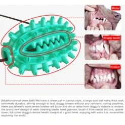 Hanamya Toothbrush Dog Chew Toy With Suction Cup, 2 Count 15 Hanamya Toothbrush Dog Chew Toy With Suction Cup, 2 Count -Pet Dog Toys 318126 PT4. AC SS1800 V1694287365