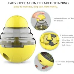 Hanamya Toothbrush Dog Chew Toy With Suction Cup, 2 Count 17 Hanamya Toothbrush Dog Chew Toy With Suction Cup, 2 Count -Pet Dog Toys 318126 PT6. AC SS1800 V1694285519