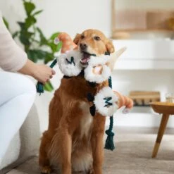 Frisco Mother's Day Gnomes Plush With Rope Squeaky Dog Toy 7 Frisco Mother's Day Gnomes Plush With Rope Squeaky Dog Toy -Pet Dog Toys 327037 PT3. AC SS1800 V1646948102