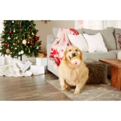 Pearhead M.C. Hammy Dog Toy -Pet Dog Toys 327069 PT2. AC SS1800 V1633478834