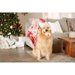 Pearhead M.C. Hammy Dog Toy -Pet Dog Toys 327069 PT3. AC SS1800 V1633469544