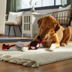 Marvel 's Miles Morales & Ghost Spider Plush With Rope Squeaky Dog Toy 7 Marvel 's Miles Morales & Ghost Spider Plush With Rope Squeaky Dog Toy -Pet Dog Toys 328785 PT3. AC SS1800 V1659031888