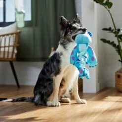 Pixar Monsters, Inc. Sulley Bungee Plush Squeaky Dog Toy -Pet Dog Toys 328791 PT3. AC SS1800 V1659032007