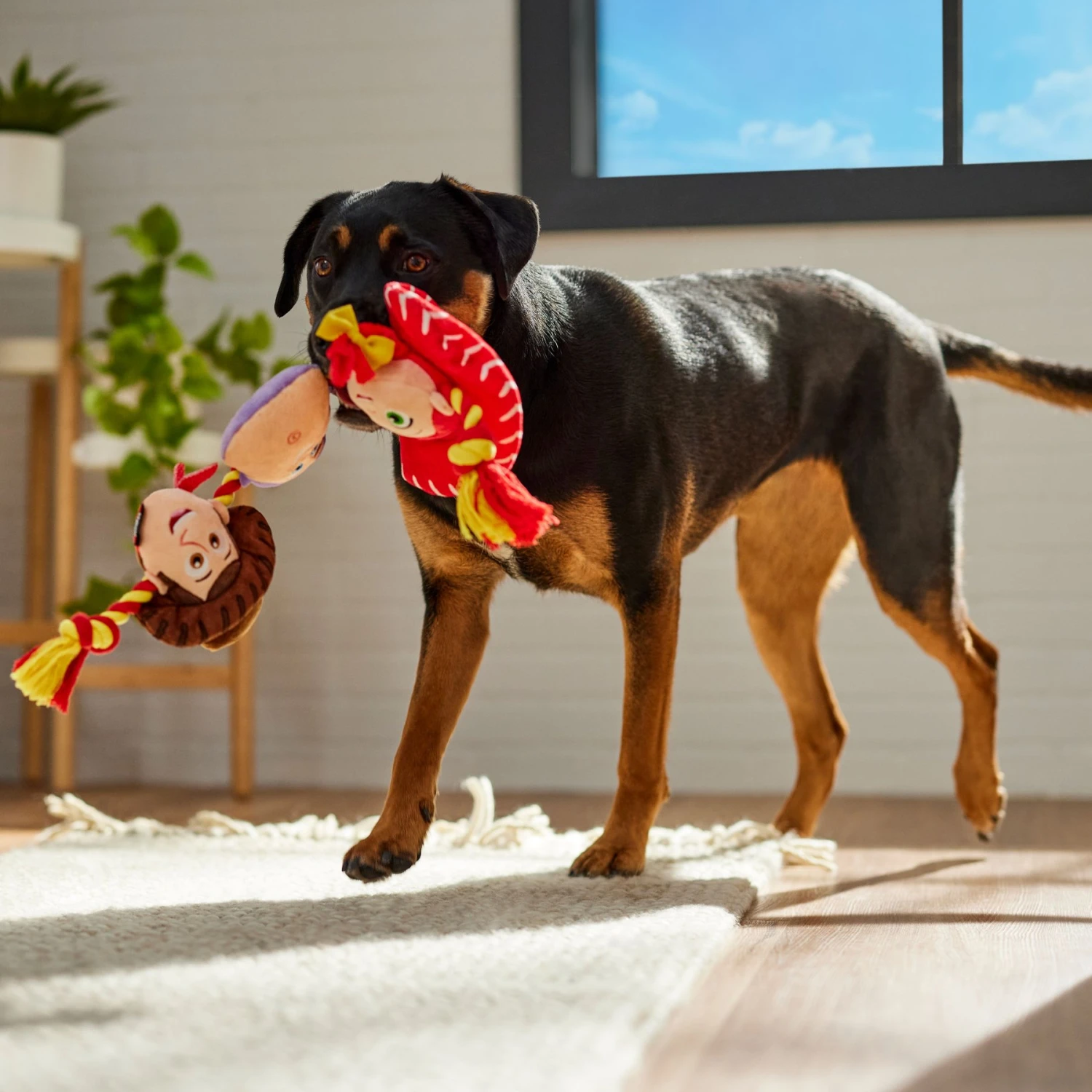 Pixar Toy Story's Woody, Jessie, & Buzz Lightyear Plush With Rope Squeaky Dog Toy 5 Pixar Toy Story's Woody, Jessie, & Buzz Lightyear Plush With Rope Squeaky Dog Toy - Image 3