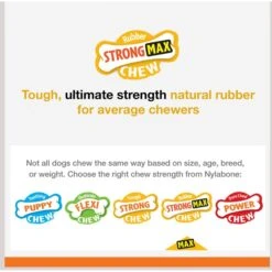 Nylabone Strong MAX Chew Cone Stuffable Chew Toy For Dogs MAX Rubber Stuffable Cone Beef Max -Pet Dog Toys 329491 PT3. AC SS1800 V1696515981