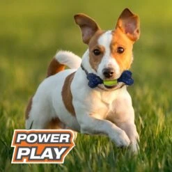 Nylabone Power Play Tennis Play 'n Fetch Interactive Dog Toy -Pet Dog Toys 329499 PT4. AC SS1800 V1685647808