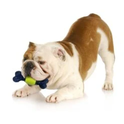 Nylabone Power Play Tennis Play 'n Fetch Interactive Dog Toy -Pet Dog Toys 329499 PT6. AC SS1800 V1685645681