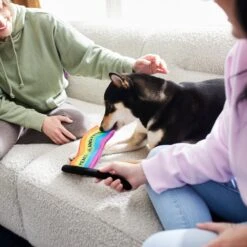 Frisco Pride Flag Flat Squeaky Dog Toy 7 Frisco Pride Flag Flat Squeaky Dog Toy -Pet Dog Toys 331640 PT3. AC SS1800 V1647355852