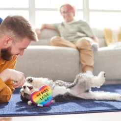Frisco Pride My Dads Love Me Plush Squeaky Dog Toy 7 Frisco Pride My Dads Love Me Plush Squeaky Dog Toy -Pet Dog Toys 331648 PT3. AC SS1800 V1647355984