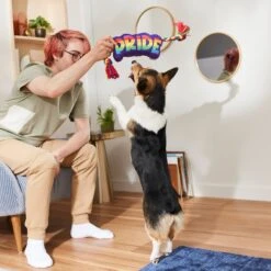 Frisco Pride Plush With Rope Squeaky Dog Toy -Pet Dog Toys 331661 PT3. AC SS1800 V1647356002