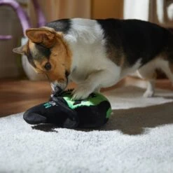 Frisco Halloween Bad Witch Round Plush Squeaky Dog Toy -Pet Dog Toys 344006 PT3. AC SS1800 V1657657029