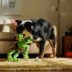 Frisco Halloween Goblin Plush With Rope Squeaky Dog Toy -Pet Dog Toys 344132 PT3. AC SS1800 V1657657042