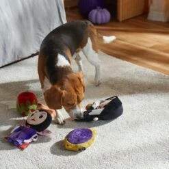 Disney Villains Evil Queen & Witch Plush Squeaky Dog Toy, 4 Count -Pet Dog Toys 344471 PT3. AC SS1800 V1660061956