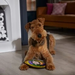 Disney Villains Evil Queen Mirror Flat Plush Squeaky Dog Toy 7 Disney Villains Evil Queen Mirror Flat Plush Squeaky Dog Toy -Pet Dog Toys 344473 PT3. AC SS1800 V1657657086