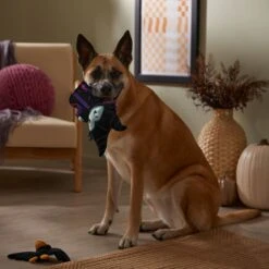 Disney Villains Maleficent & Raven Plush Squeaky Dog Toy, 2 Count -Pet Dog Toys 344477 PT3. AC SS1800 V1657657086