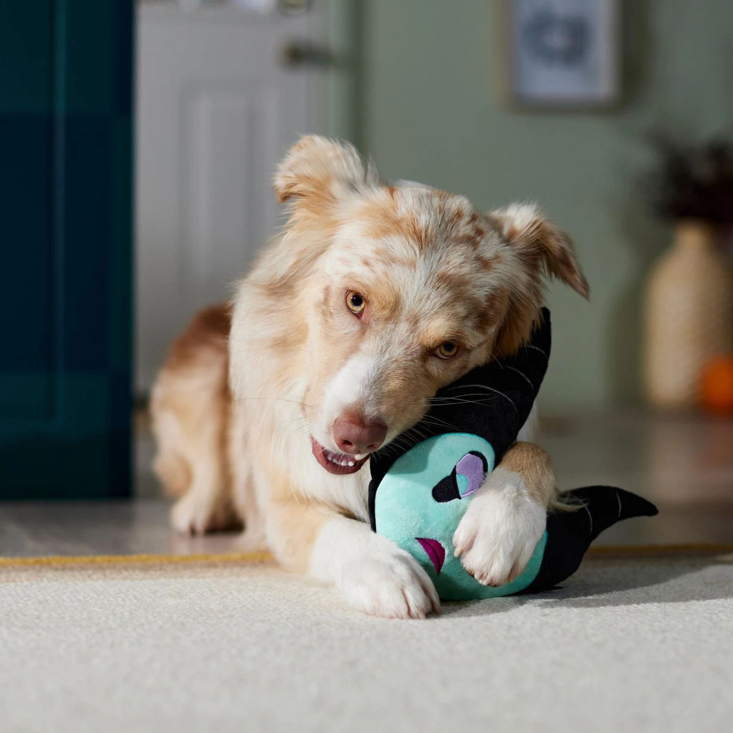 Disney Villains Maleficent Round Plush Squeaky Dog Toy 5 Disney Villains Maleficent Round Plush Squeaky Dog Toy - Image 3