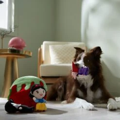 Disney Villains Snow White & The Evil Queen Hide & Seek Puzzle Plush Squeaky Dog Toy -Pet Dog Toys 344481 PT3. AC SS1800 V1657657087