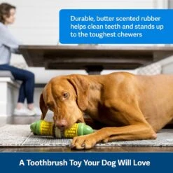 PetSafe Busy Buddy Cravin’ Corncob Chew Dog Toy -Pet Dog Toys 346846 PT2. AC SS1800 V1637003181