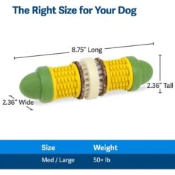 PetSafe Busy Buddy Cravin’ Corncob Chew Dog Toy -Pet Dog Toys 346846 PT5. AC SS1800 V1637004094