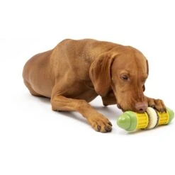 PetSafe Busy Buddy Cravin’ Corncob Chew Dog Toy -Pet Dog Toys 346846 PT6. AC SS1800 V1637003822