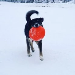 SodaPup Bottle Top Rubber Flying Disk Dog Toy -Pet Dog Toys 346939 PT3. AC SS1800 V1638400039