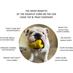 SodaPup Corn On The Cob Rubber Treat Dispenser Dog Toy -Pet Dog Toys 346954 PT3. AC SS1800 V1638305523