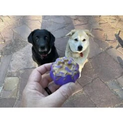 SodaPup Cross Bones Treat Pocket Dog Toy 15 SodaPup Cross Bones Treat Pocket Dog Toy -Pet Dog Toys 346959 PT5. AC SS1800 V1638312103