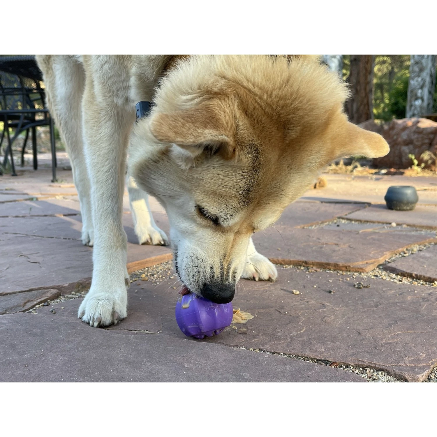 SodaPup Cross Bones Treat Pocket Dog Toy 10 SodaPup Cross Bones Treat Pocket Dog Toy - Image 8