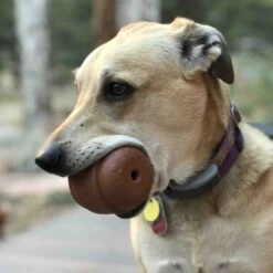 SodaPup Hamburger Rubber Treat Dispenser Dog Toy 16 SodaPup Hamburger Rubber Treat Dispenser Dog Toy -Pet Dog Toys 347012 PT5. AC SS1800 V1638315699