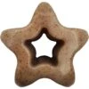 SodaPup Nylon Star Chew & Enrichment Dog Toy