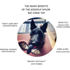 SodaPup Nylon Vampire Bat Chew Dog Toy -Pet Dog Toys 347095 PT2. AC SS1800 V1638340631