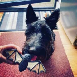SodaPup Nylon Vampire Bat Chew Dog Toy -Pet Dog Toys 347095 PT5. AC SS1800 V1638341497