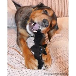 SodaPup Nylon Vampire Bat Chew Dog Toy -Pet Dog Toys 347095 PT8. AC SS1800 V1638341526