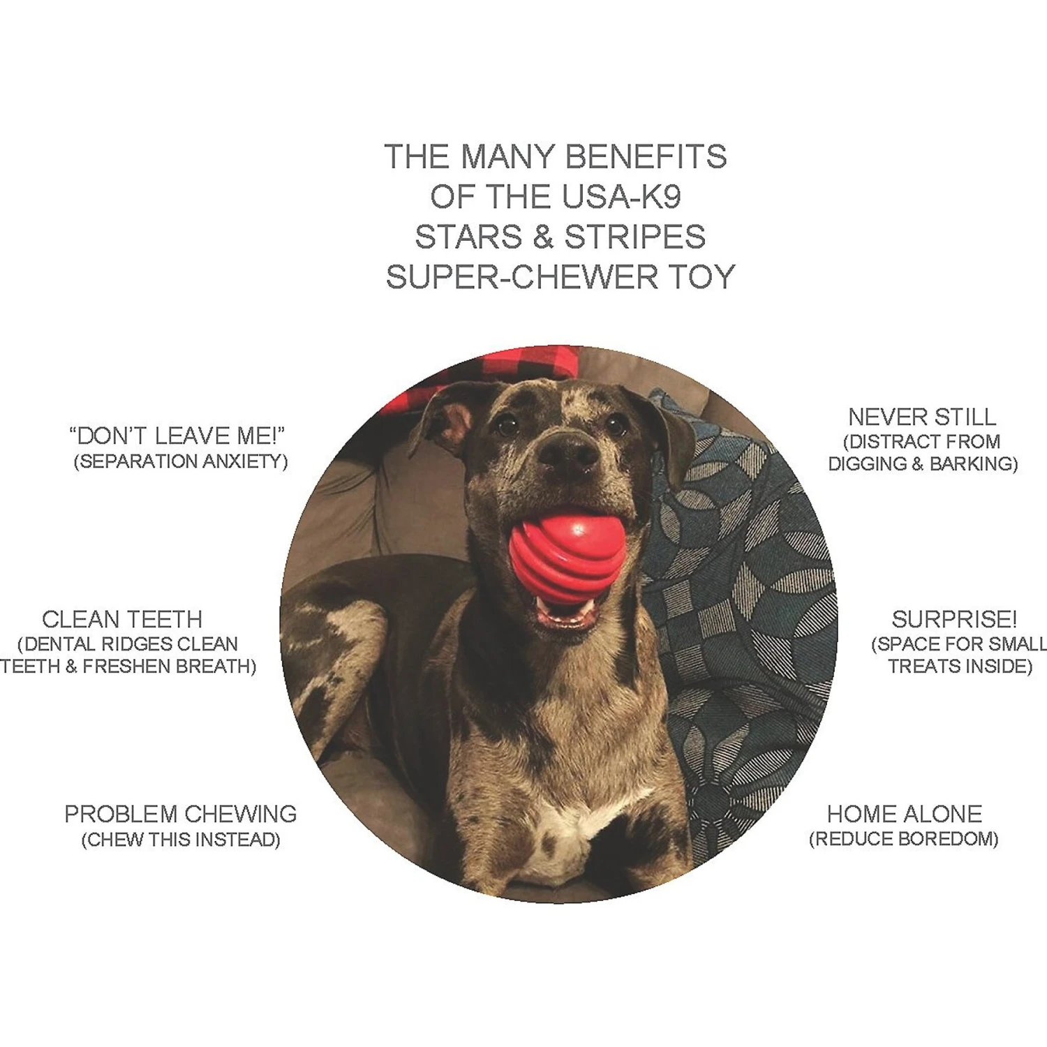 SodaPup Stars & Stripes Ultra-Durable Rubber Ball Dog Toy 5 SodaPup Stars & Stripes Ultra-Durable Rubber Ball Dog Toy - Image 3