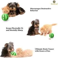 SunGrow Interactive Chew Ball Treat Dispenser Dog & Cat Teething Toy -Pet Dog Toys 352931 PT3. AC SS1800 V1639435343