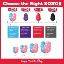 KONG Puppy Chew Dog Toy -Pet Dog Toys 354334 PT3. AC SS1800 V1682711072