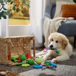 Frisco Small Breed Puppies Rope & TPR Variety Pack Puppy Toy -Pet Dog Toys 358552 PT4. AC SS1800 V1669908588