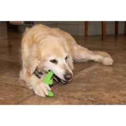 Hugglehounds LeLe Tuffut-Flex Flyer Dog Toy, Green 17 Hugglehounds LeLe Tuffut-Flex Flyer Dog Toy, Green -Pet Dog Toys 362026 PT7. AC SS1800 V1644018113