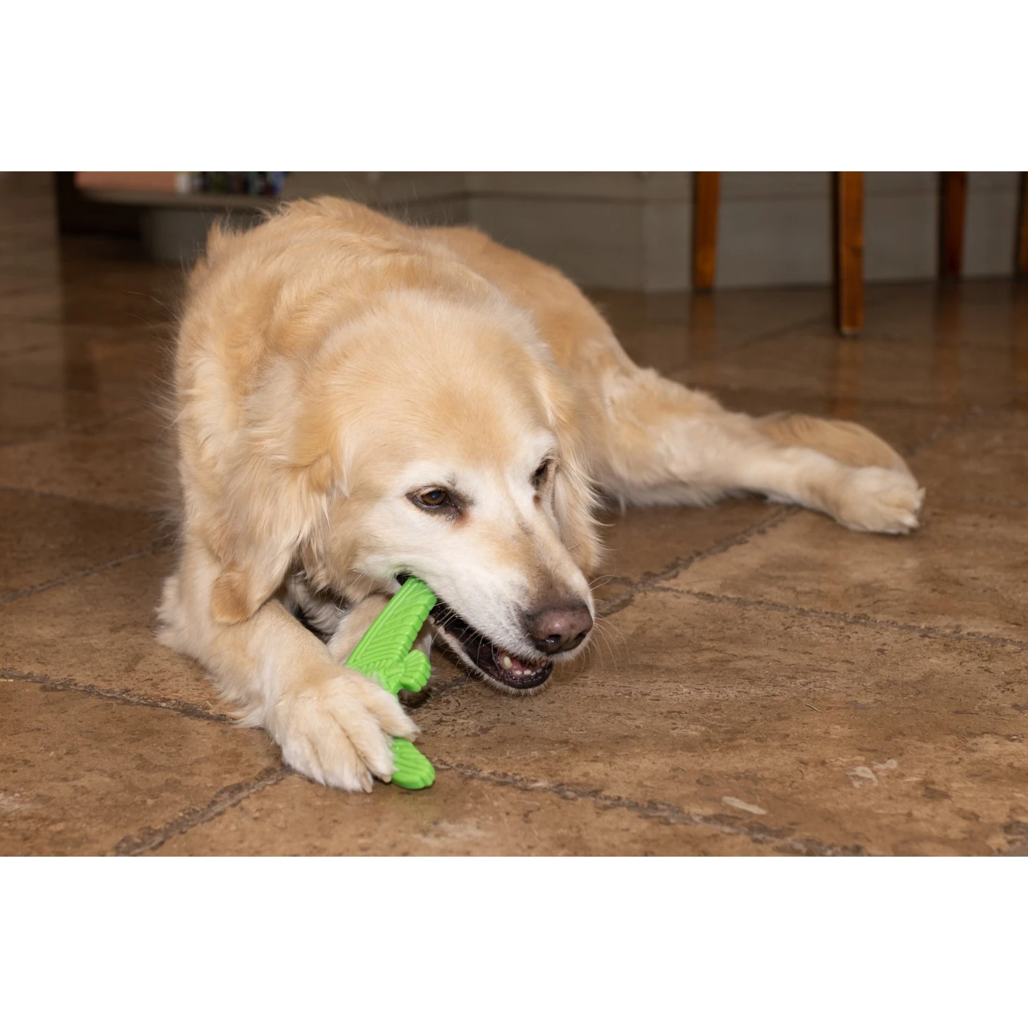 Hugglehounds LeLe Tuffut-Flex Flyer Dog Toy, Green 10 Hugglehounds LeLe Tuffut-Flex Flyer Dog Toy, Green - Image 8