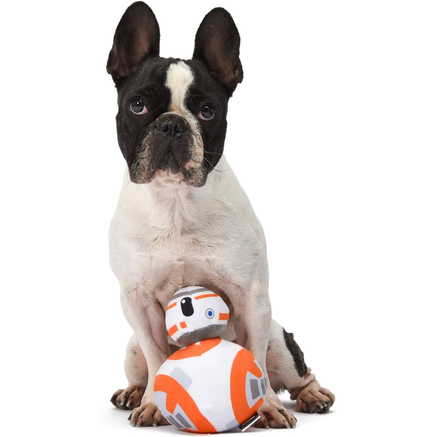 Fetch For Pets Star Wars BB8 Plush Dog Toy 6 Fetch For Pets Star Wars BB8 Plush Dog Toy - Image 4