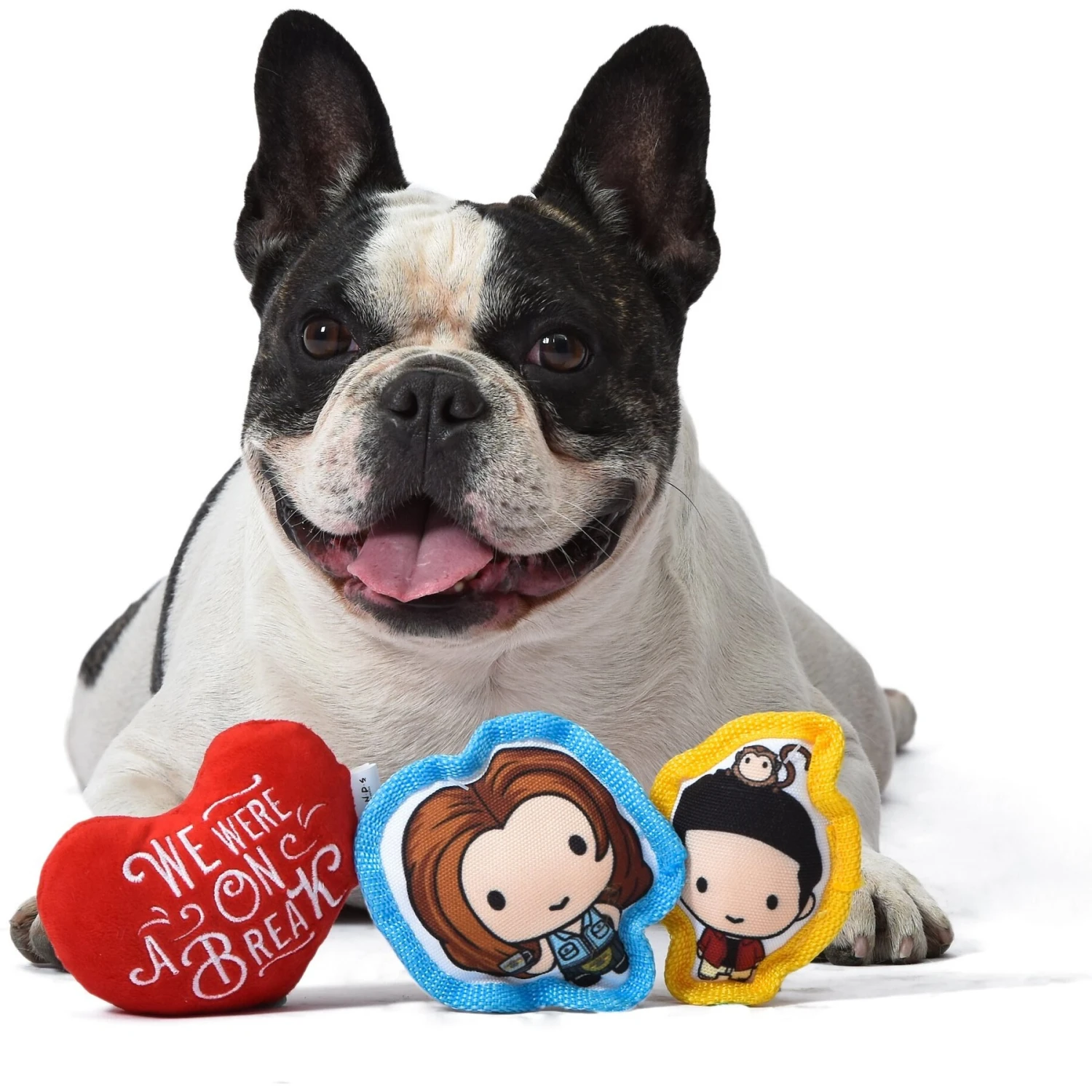 Fetch For Pets Friends V-Day "We Were On A Break" Squeaky Dog Toy, 3 Count 6 Fetch For Pets Friends V-Day "We Were On A Break" Squeaky Dog Toy, 3 Count - Image 4