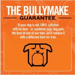 BULLYMAKE Keg Dog Toy -Pet Dog Toys 363208 PT5. AC SS1800 V1661377585