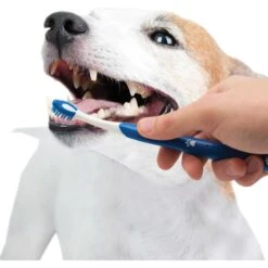 Nylabone Advanced Oral Care Original Flavor Puppy Dental Kit & Nylabone Puppy Pacifier Teething Toy Chew Teething Pacifier Bacon 15 Nylabone Advanced Oral Care Original Flavor Puppy Dental Kit & Nylabone Puppy Pacifier Teething Toy Chew Teething Pacifier Bacon -Pet Dog Toys 365504 PT4. AC SS1800 V1644013666